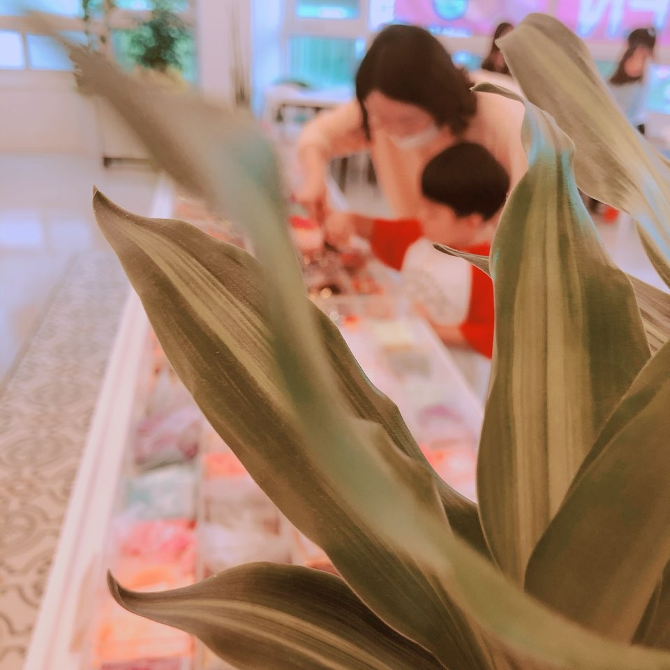 카페 드루와 이미지