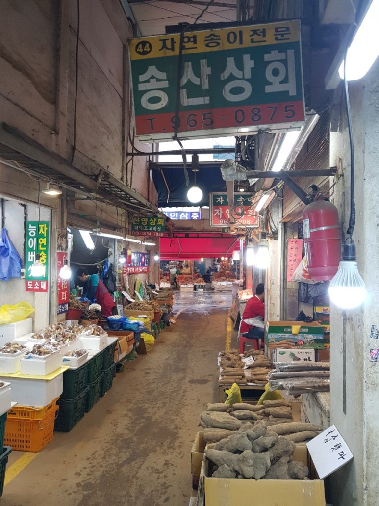 송산송이 이미지