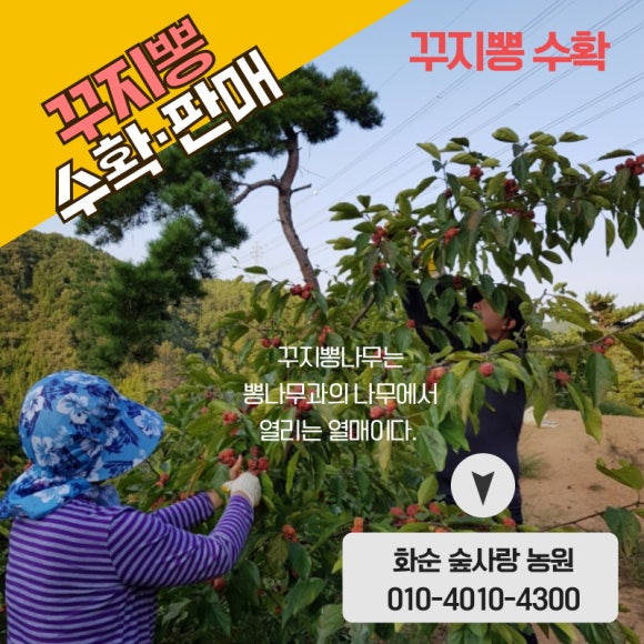 숲사랑농원 이미지