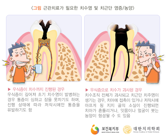 서울테라치과 이미지