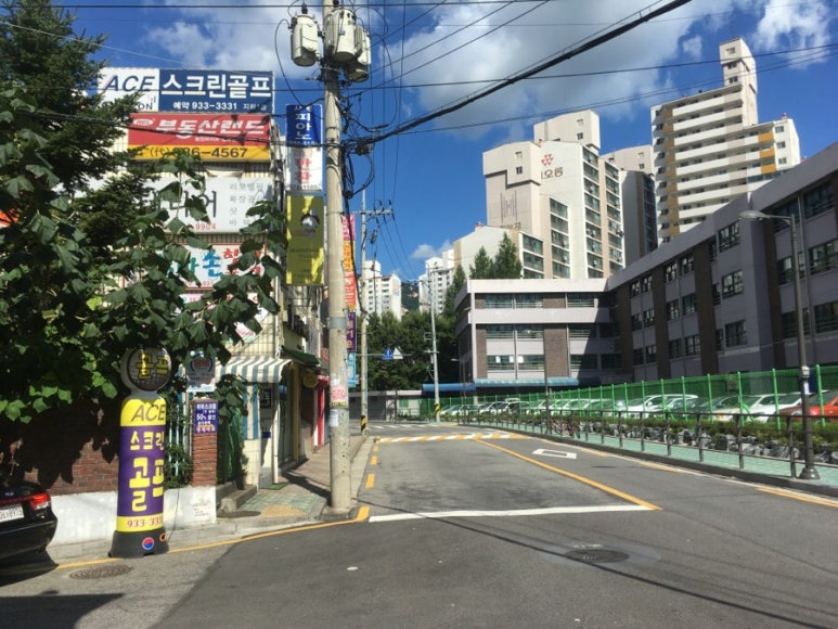 올카피 이미지