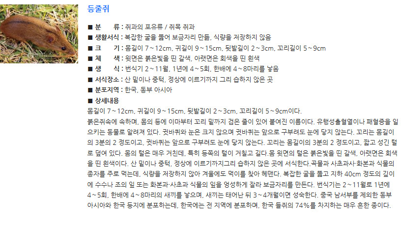 그린현대써비스 이미지