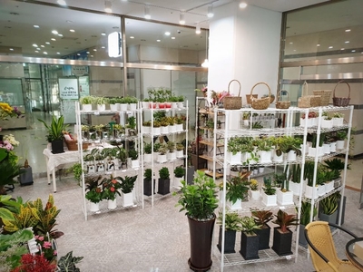 그라시아스꽃집 이미지