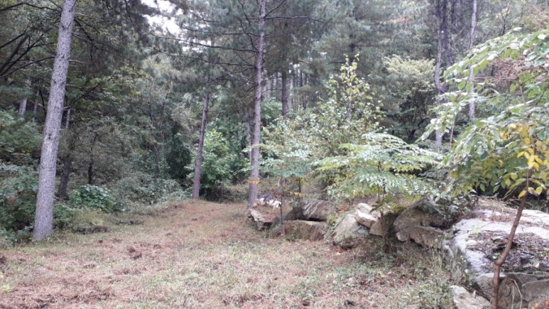 산방환담 이미지