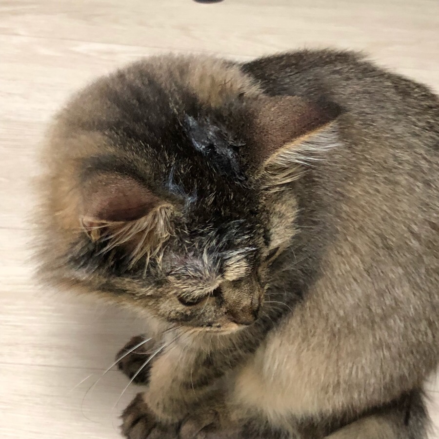 보경매운탕 이미지