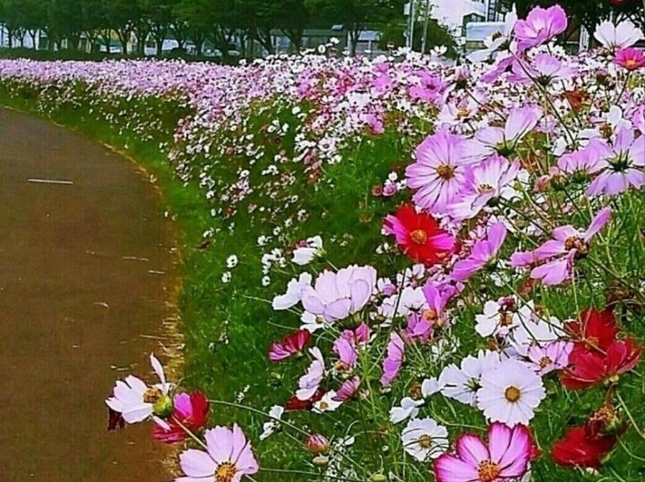 휠링 이미지