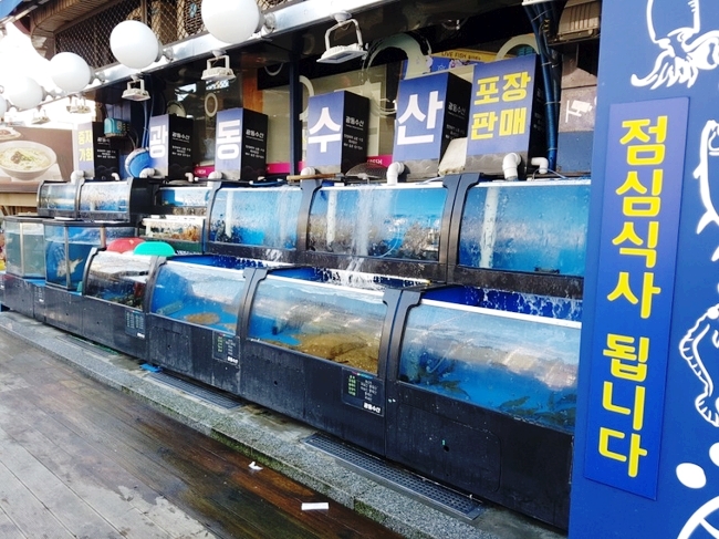 광동수산 이미지