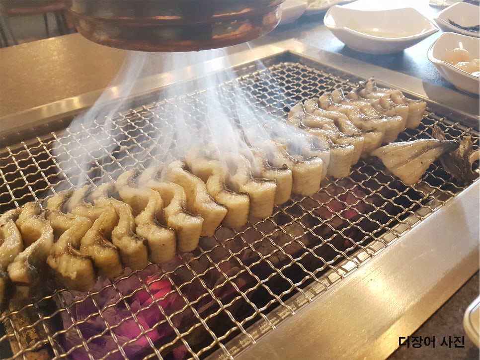 오라장어 이미지