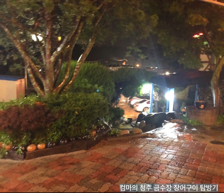 금수장장어구이 이미지