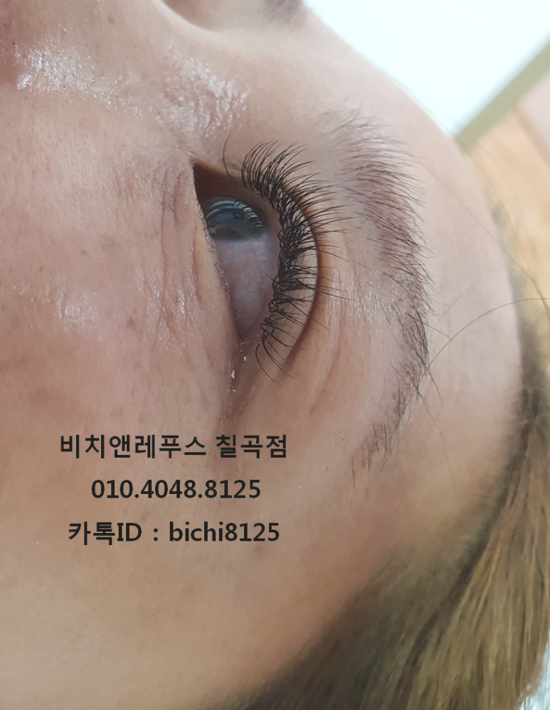 비치앤레푸스 이미지