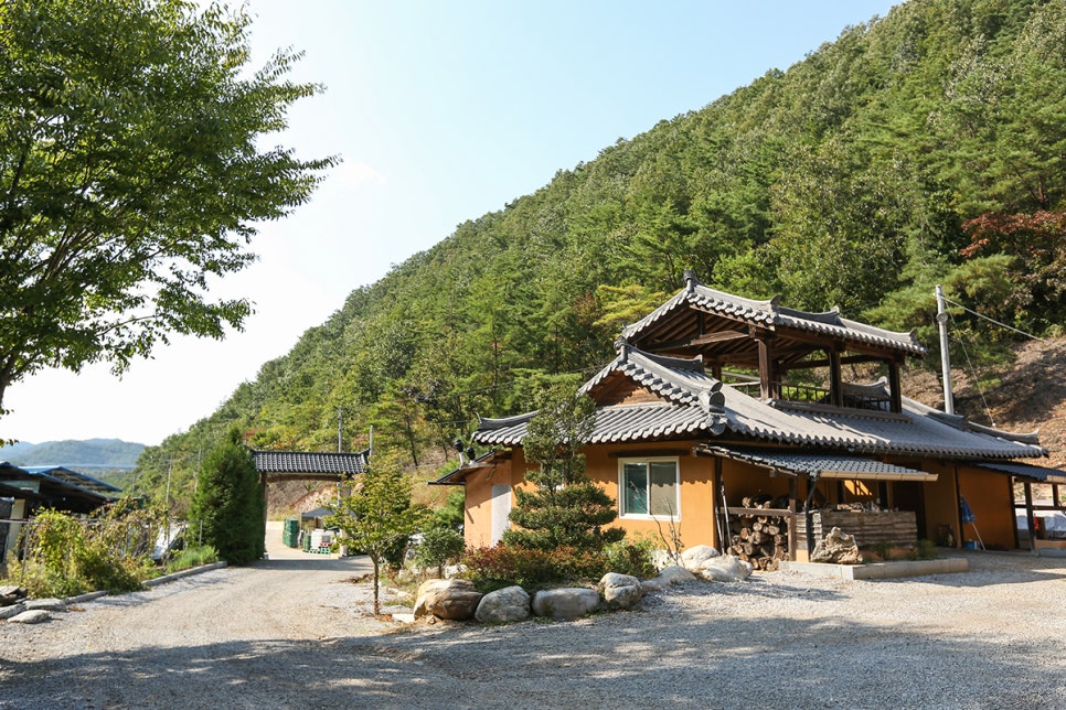 강원중앙양봉원 이미지