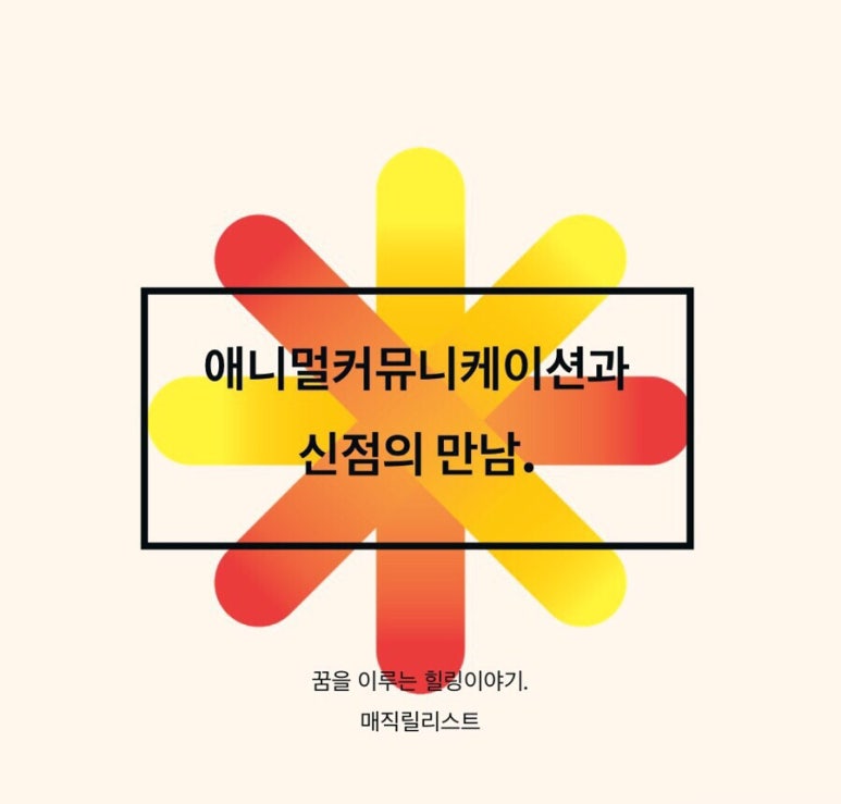 냥이커뮤니케이션 이미지