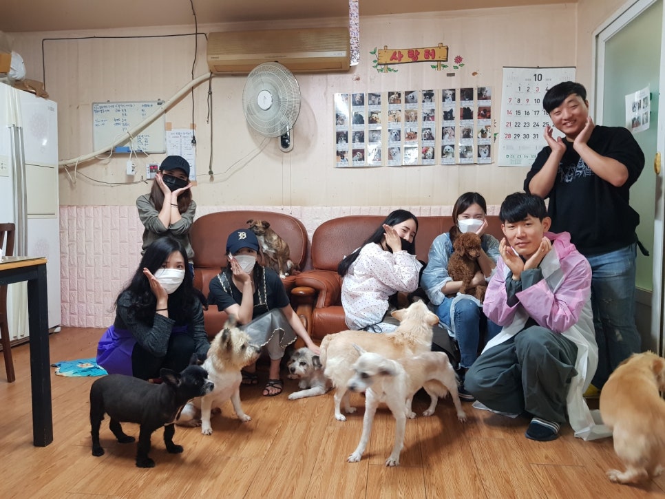 유미사 이미지
