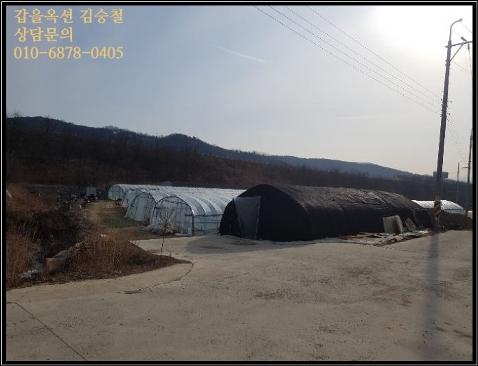 영오리 이미지