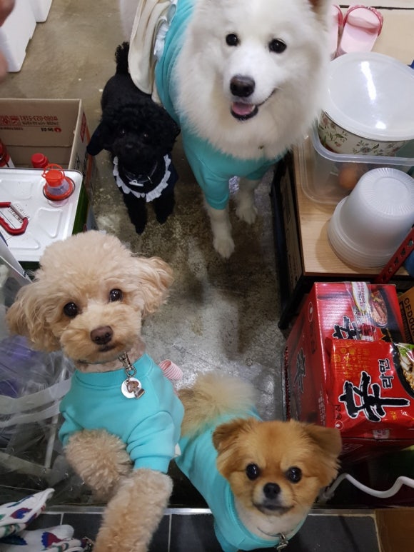 개스토랑 이미지