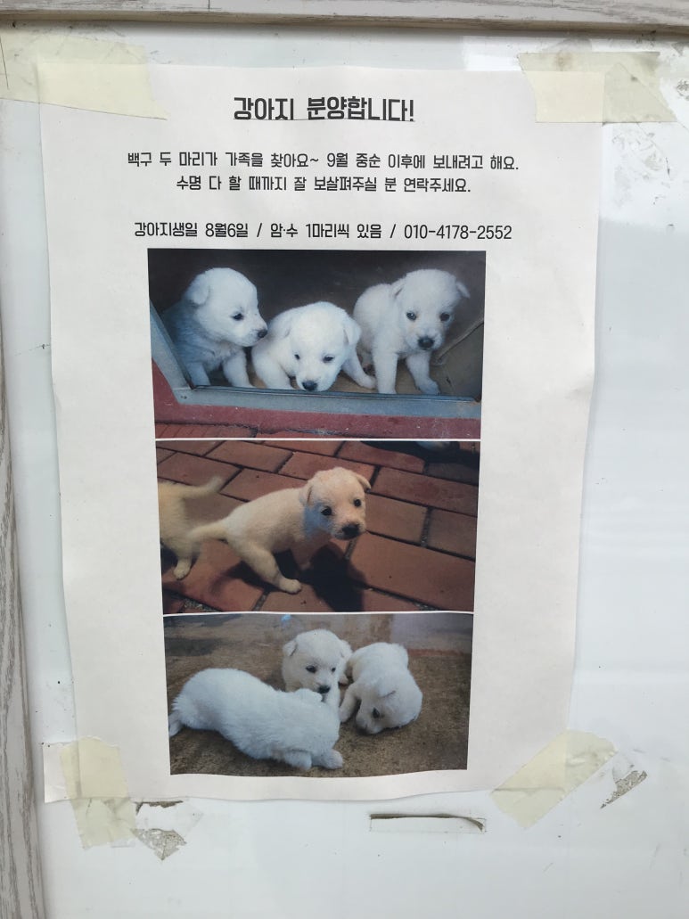 작지만큰카페 이미지