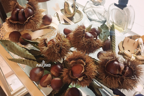 바오네일 이미지