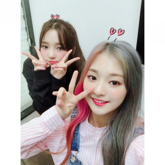 나경 이미지