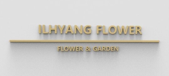 일향플라워 이미지