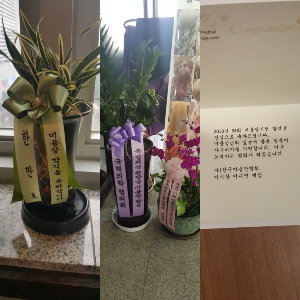 헤어그라또 이미지
