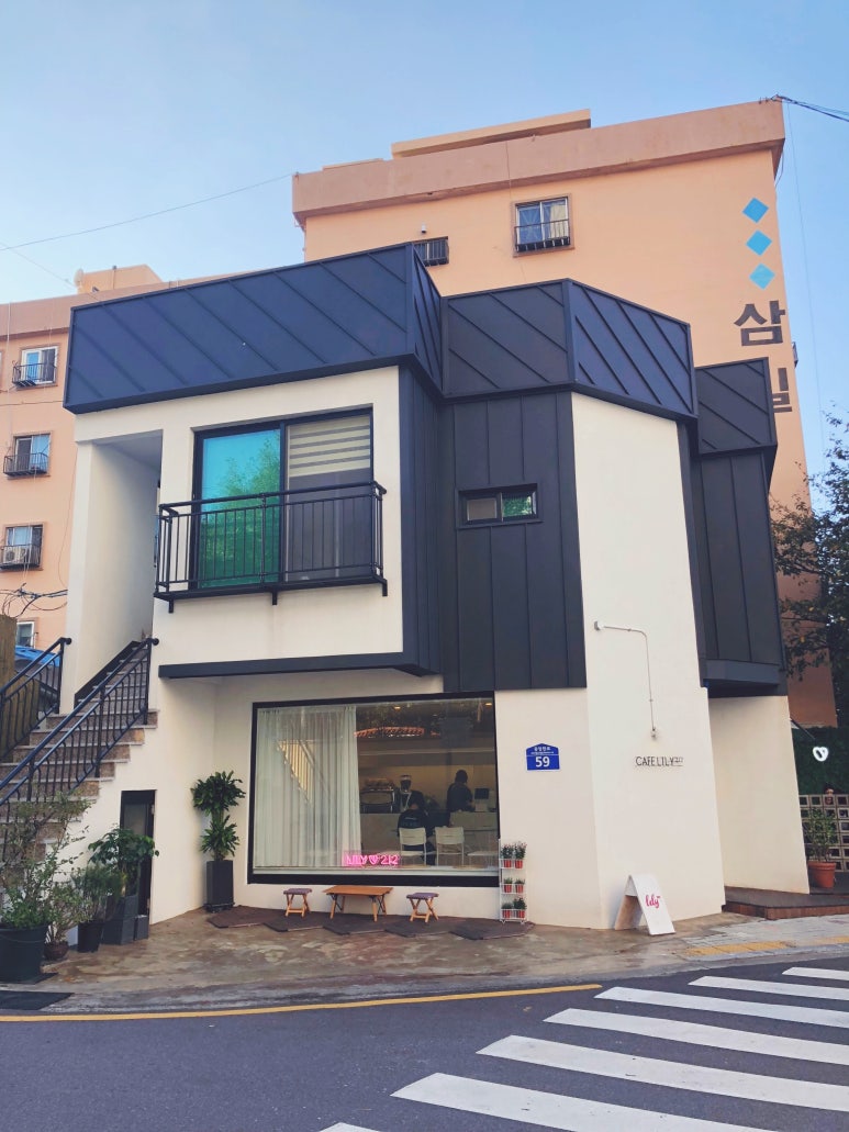 릴리212 이미지