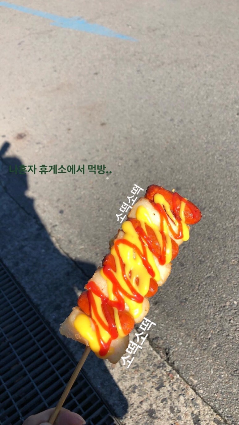 우리지뜨 이미지