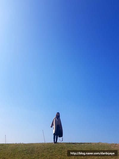 들꽃편의점 이미지