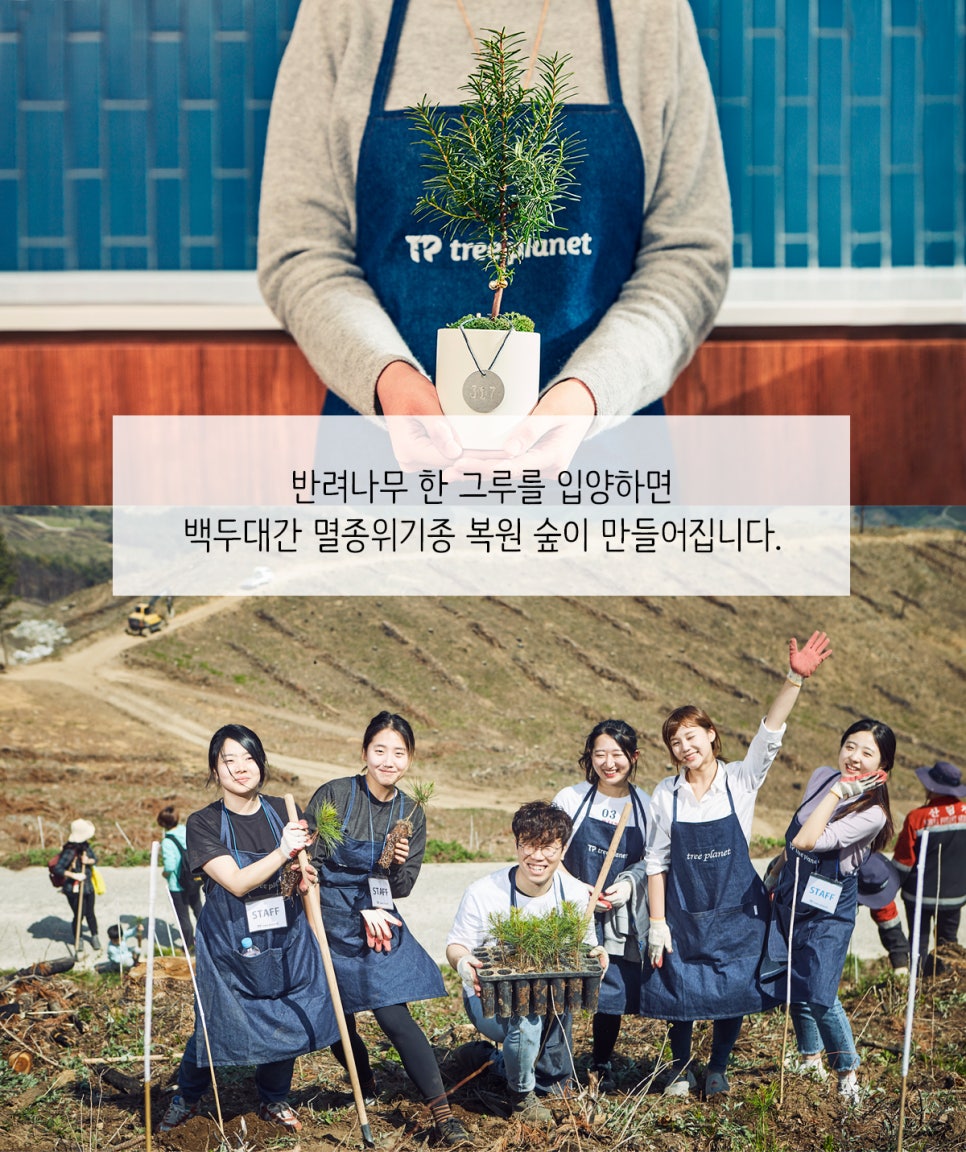 나무플래닛 이미지