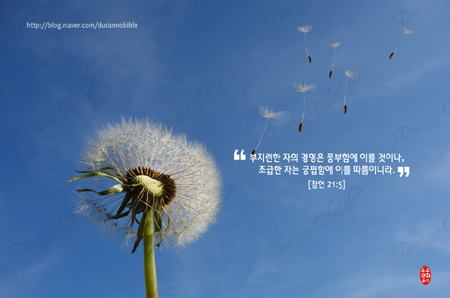 잠언라이프 이미지