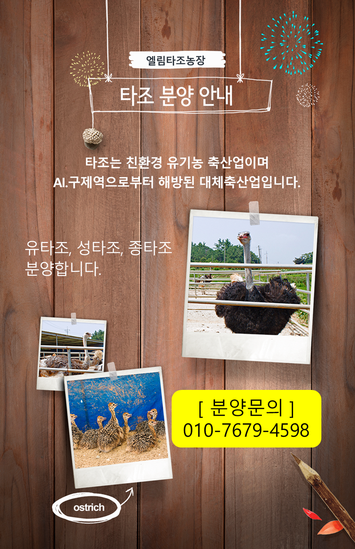 엘림타조 이미지