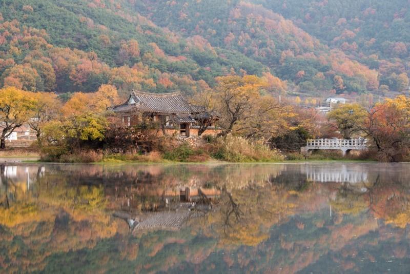 콜핑부산 이미지