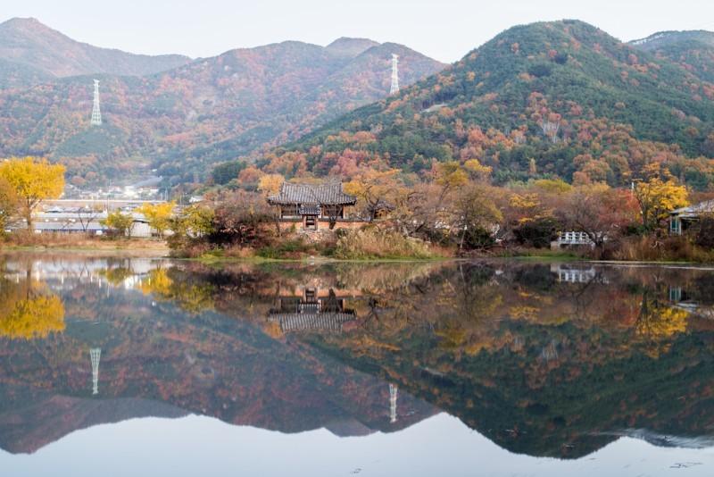콜핑부산 이미지