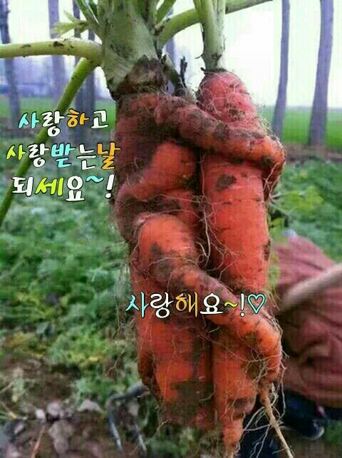 세기냉열 이미지
