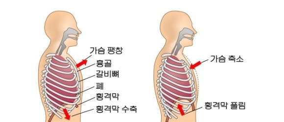 피지오스 이미지