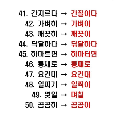 리드인독서논술 이미지