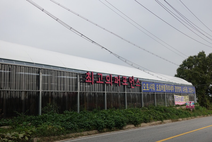 황금손세차 이미지