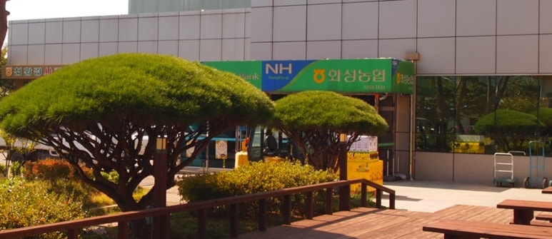 화성농협비봉지점 이미지