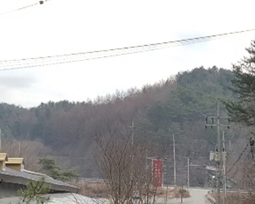 광판리 이미지