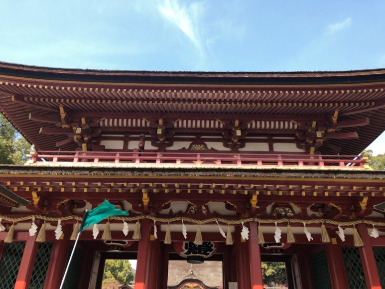 드림여행사 이미지