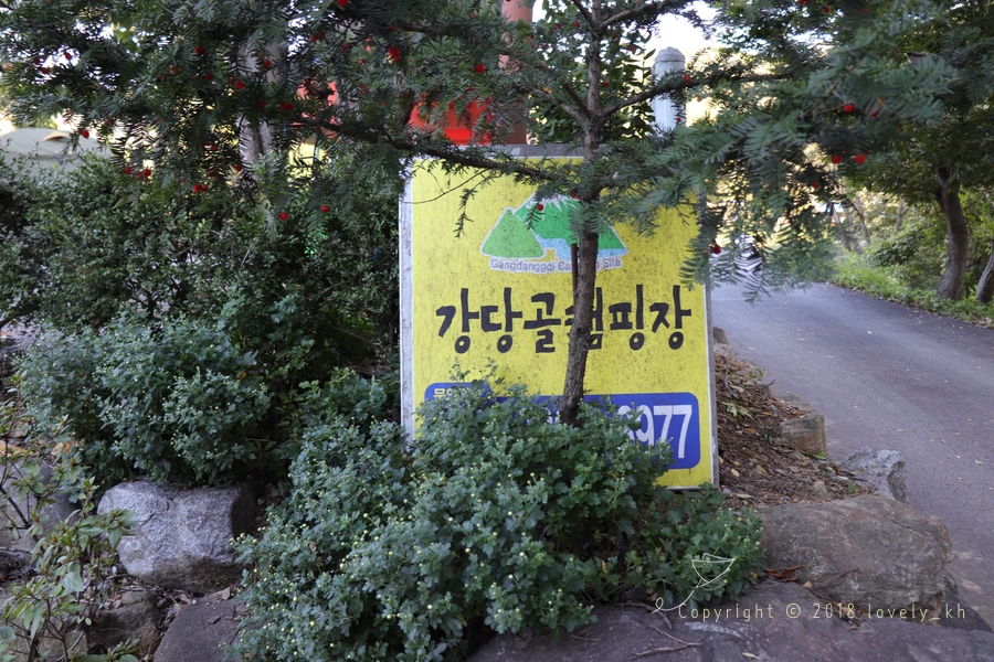 강당골캠핑장 이미지