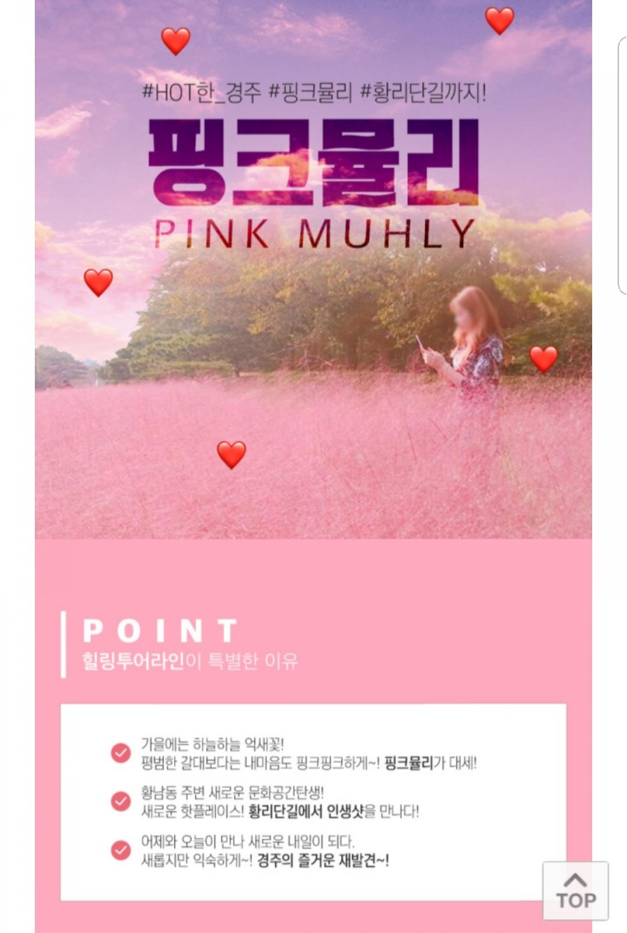 BB투어 여행사 이미지