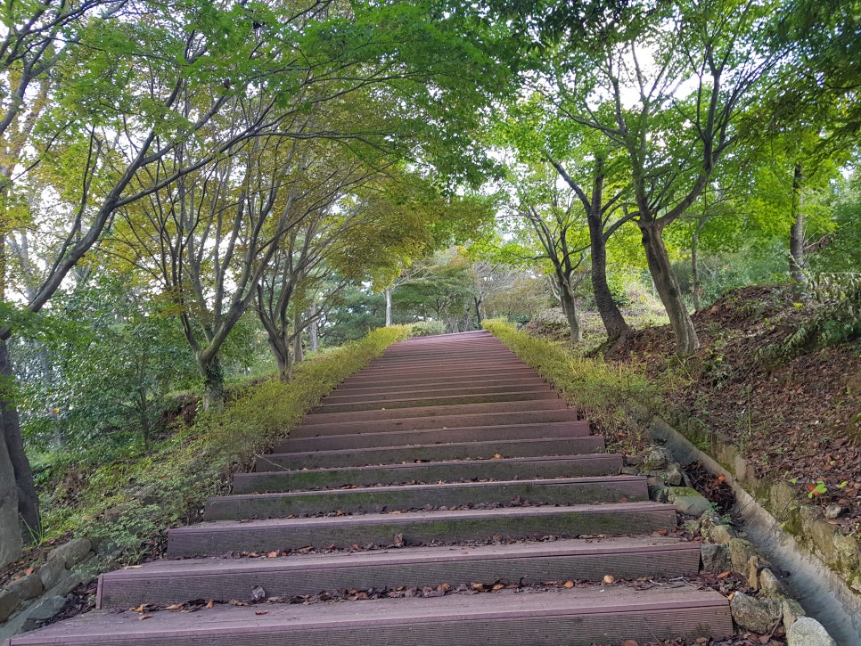 싸복싸복 이미지