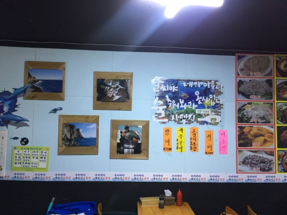 오징어와세꼬시 이미지