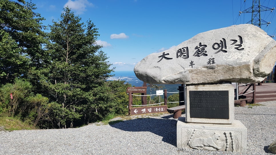 대관령 치유의 숲 이미지