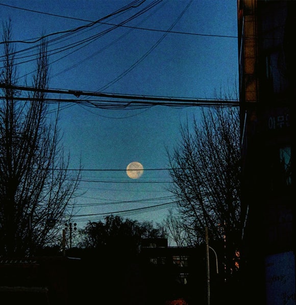 골목달 이미지