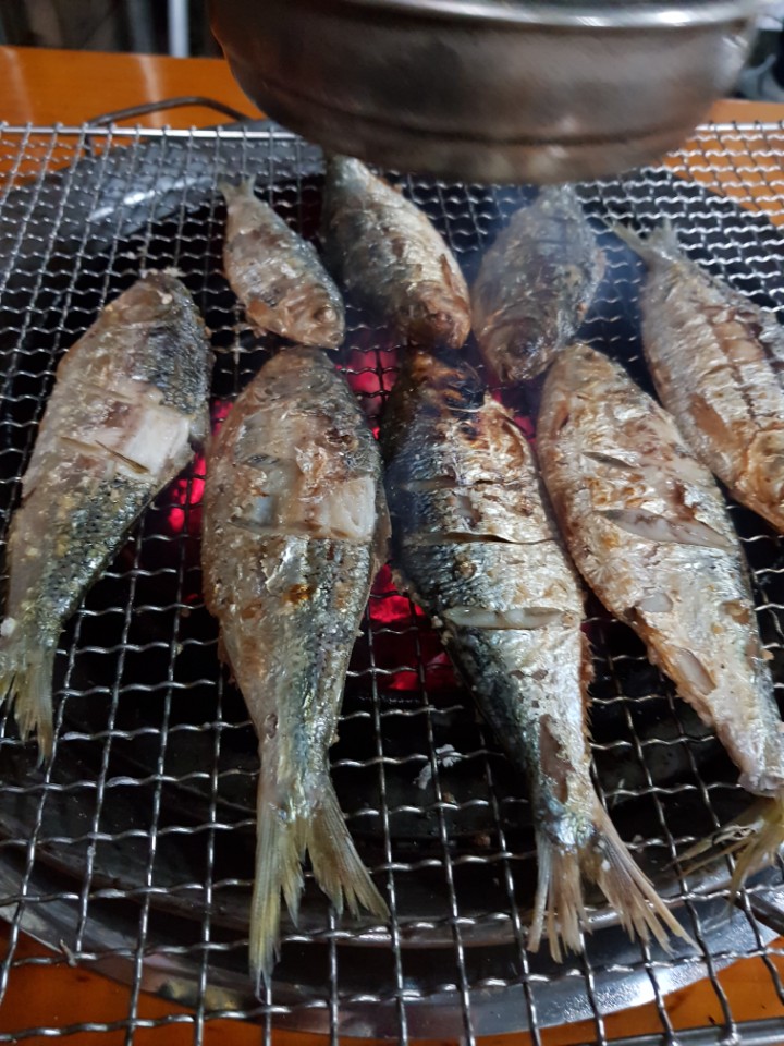 팔당민물장어 이미지