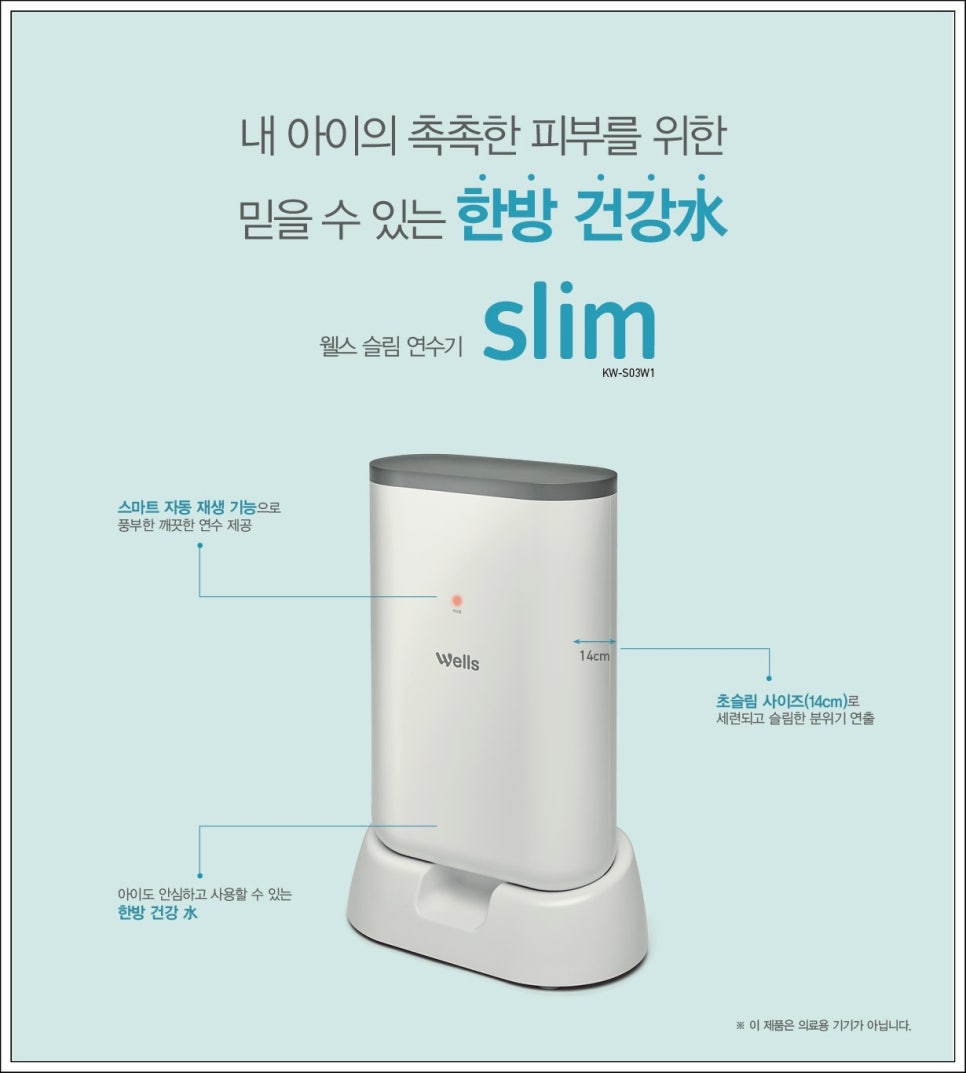 웰스시 이미지