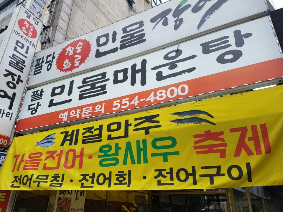 나동장어 이미지