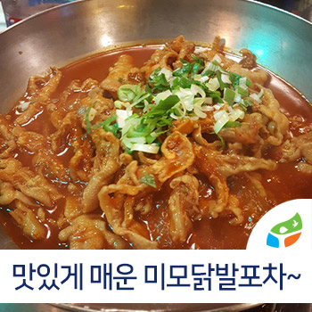미모닭발포차 이미지