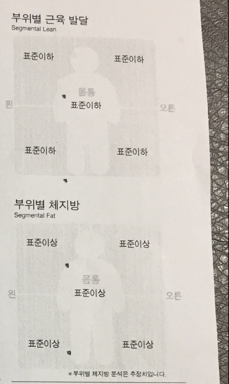 바디피트짐 이미지